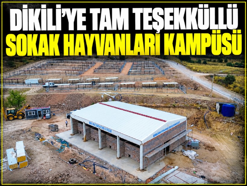 Dikili’ye tam teşekküllü sokak hayvanları kampüsü