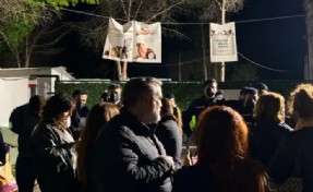 Ege Üniversitesi'nde toplatılan köpeklere ilişkin Belediye Başkanı Ömer Eşki'den açıklama: 'Talimatı Kaymakamlık verdi!'