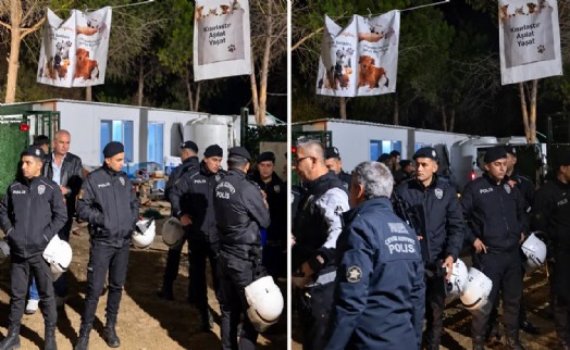 Ege Üniversitesi'ne gece yarısı baskını: 200'e yakın köpek toplatıldı, kampüste arbede yaşandı!