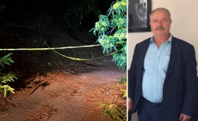 Kestane kozalakları yüzünden tüfekle vurulan eski muhtar kurtarılamadı!