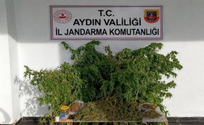 Evinde 3 kilo zehir ile yakalandı