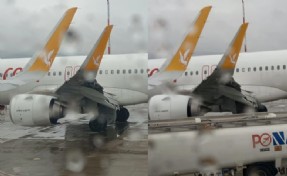 İstanbul'dan kalkan uçak sürüye çarptı: Kanadını görenler şoke oldu!