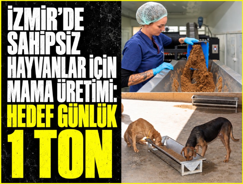 İzmir’de sahipsiz hayvanlar için mama üretimi: Hedef günlük 1 ton