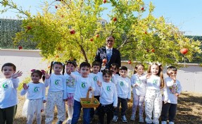 Minik ellerden sağlıklı sebzeler