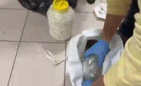 Peynir pidonudan 2 kilo 350 gram zehir çıktı!