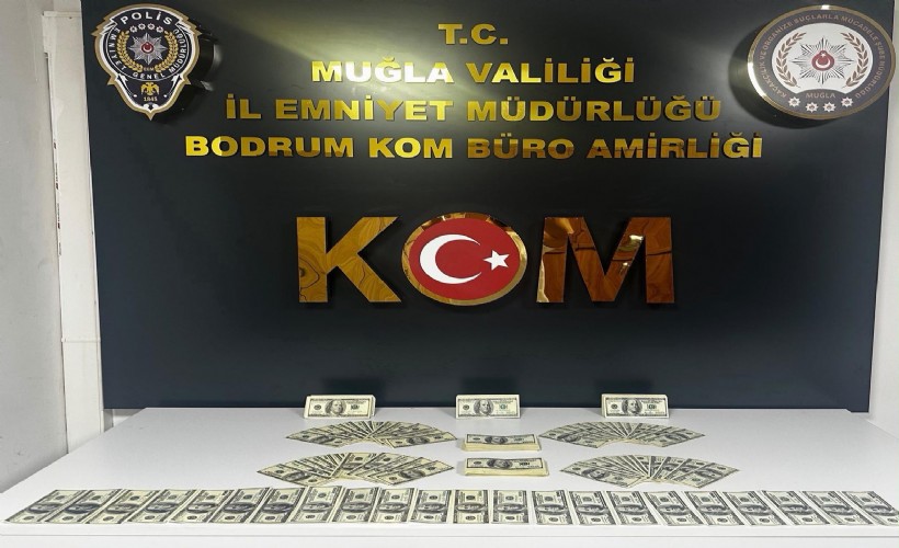 Sahte dolarları piyasaya süremeden yakalandı: Bodrum'da yakalanan zanlı tutuklandı