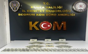 Sahte binlerce doları piyasaya süremeden yakalanan zanlı tutuklandı