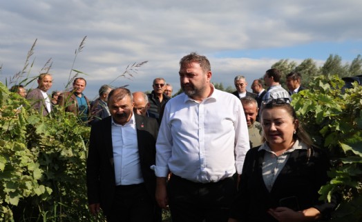 Üzüm üreticisinin sesi oldu! Gümrükçü: Tatlı üzümde acı fiyat olmaz...