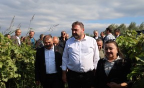Üzüm üreticisinin sesi oldu! Gümrükçü: Tatlı üzümde acı fiyat olmaz...