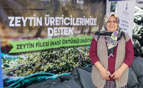 Zeytinde ortak akıl sahaya taşınıyor