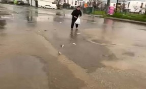 Bodrum'da sağanak: Taşan göletteki balıklar yola saçıldı!