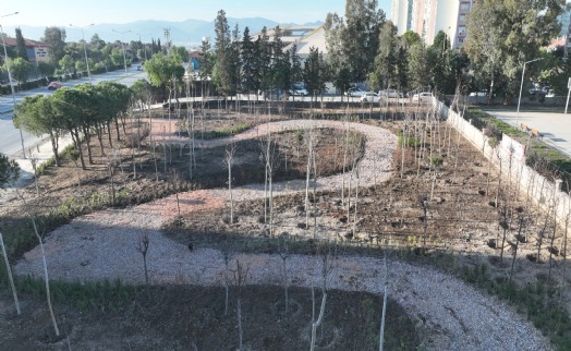 Büyükşehir'den mini orman seferberliği