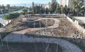 Büyükşehir'den mini orman seferberliği