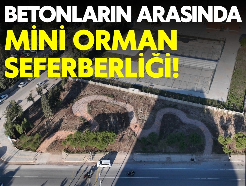 Büyükşehir'den mini orman seferberliği