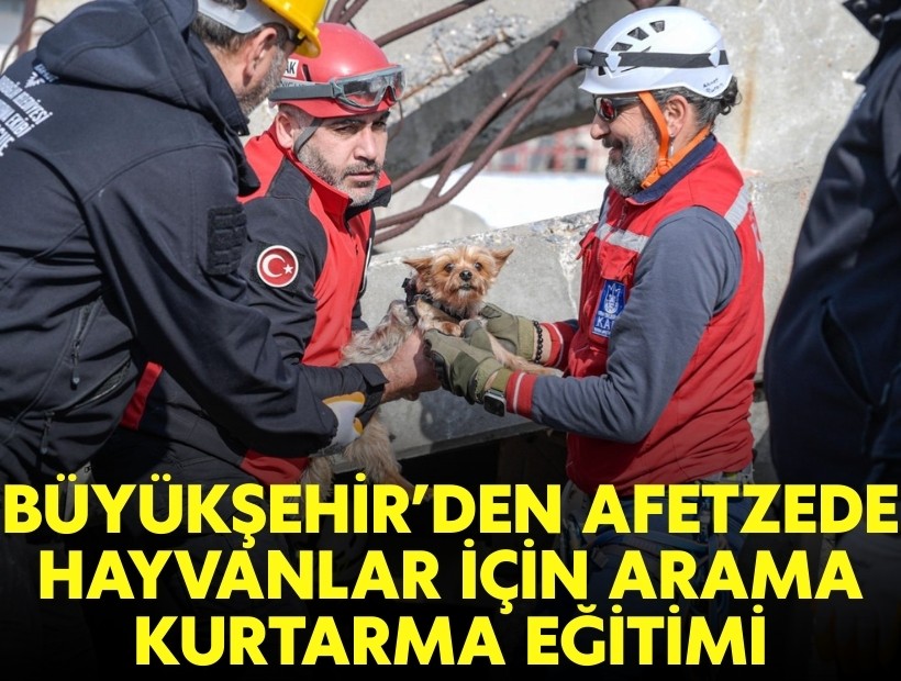 Büyükşehir’den afetzede hayvanlar için arama kurtarma eğitimi