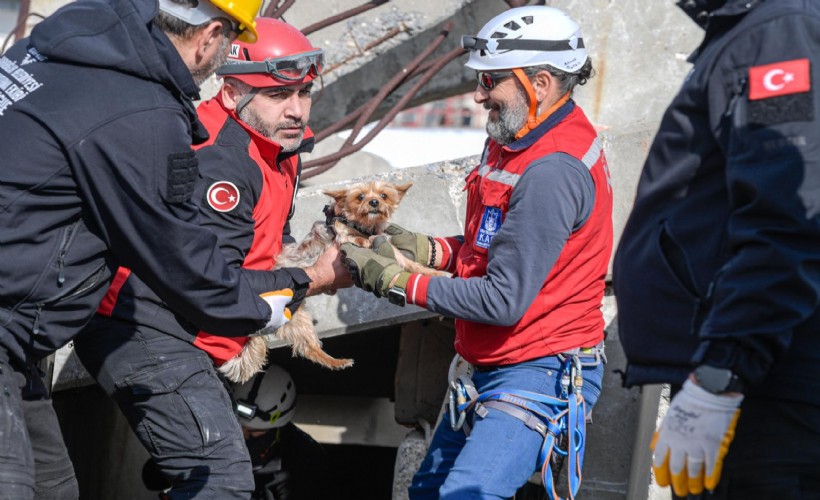 Büyükşehir’den afetzede hayvanlar için arama kurtarma eğitimi
