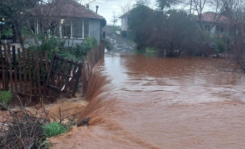 Çamura saplanan 30 koyun kurtarıldı, 2 koyun öldü