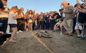 Caretta caretta 'Cumhuriyet'i 10 bin kişi izledi