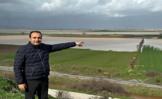 İzmir'de yağışlar çiftçiye nefes aldırdı!