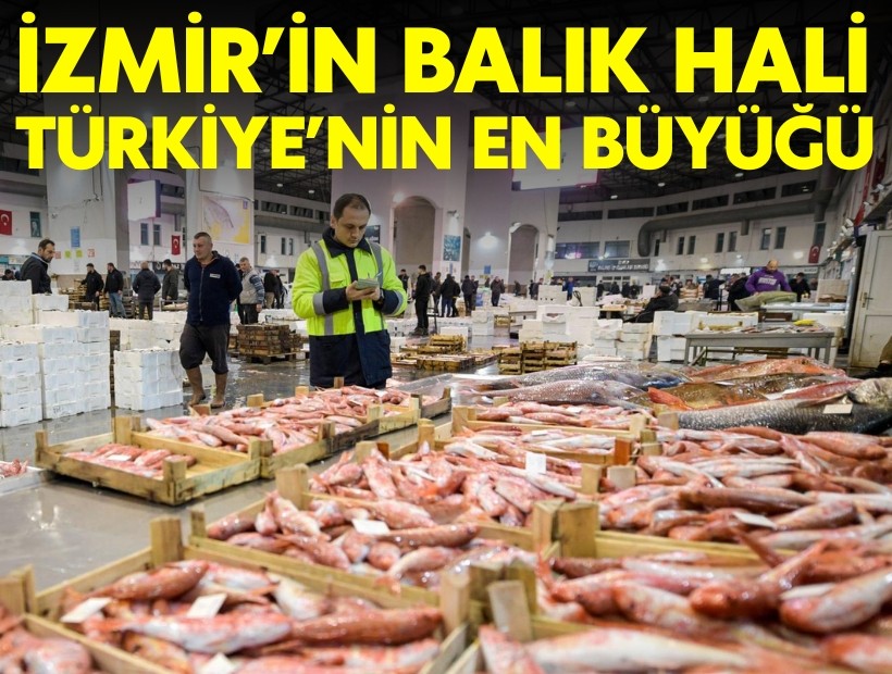 İzmir'in balık hali Türkiye lideri!