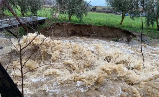 Manisa'da dereler taştı; tarım arazileri su altında kaldı