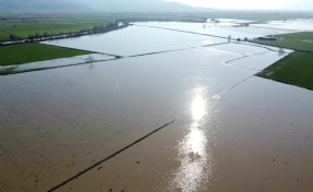 Menderes Nehri taştı: 2 bin dönümlük arazi sular altında kaldı