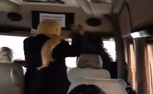 Minibüste kadınların 'sigara içme' kavgası kamerada