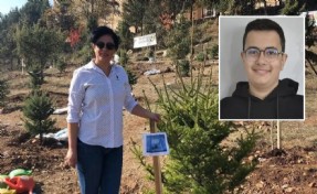 Oğlunun acısına yüreği dayanmadı: Mezar başında kalp krizi geçiren anne hayatını kaybetti