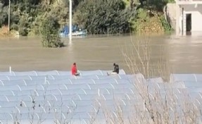 Sağanakta su basan seranın çatısında mahsur kalan 2 kişi botla kurtarıldı