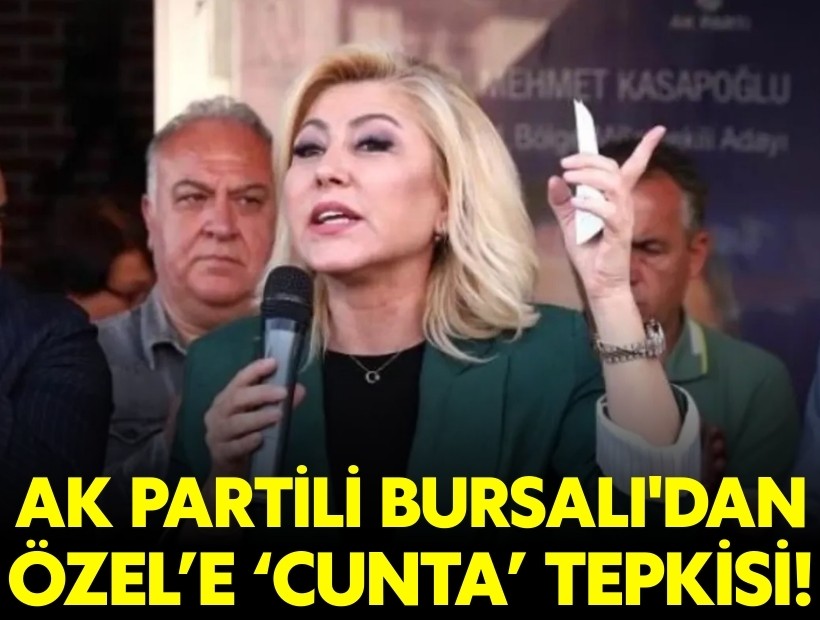 AK Partili Bursalı'dan Özel’e 'cunta' tepkisi: Milli iradeyiz yok saymaktır