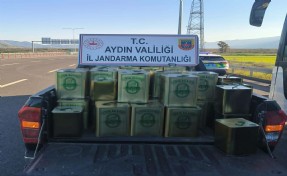 Aydın'da sahte zeytinyağı operasyonu: 2 gözaltı