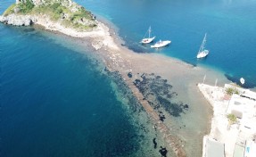 Bodrum'da deniz çekildi 'Kral Yolu' ortaya çıktı