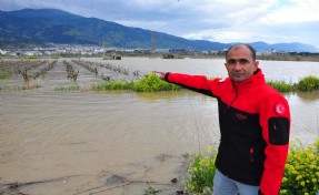 Gediz Nehri ikinci kez taştı üzümde tehlike büyük!
