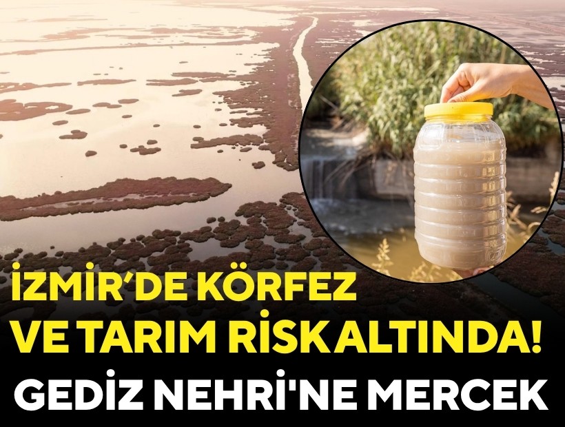 İzmir'de Körfez ve tarım risk altında: Gediz Nehri'ne mercek