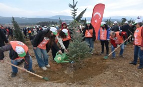 İzmir'de yanan alanda 15 bin fidan toprakla buluşturuldu