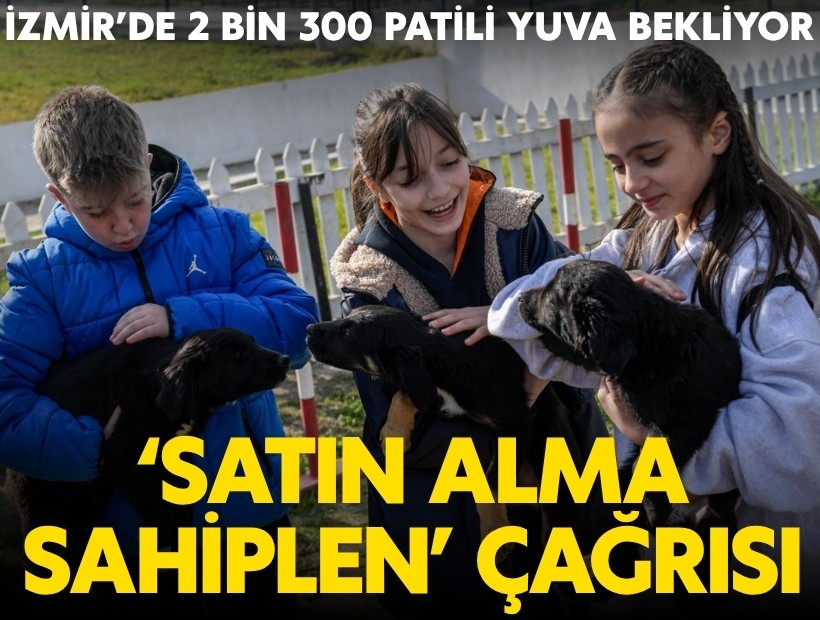 İzmir’de 2 bin 300 patili yuva bekliyor; 'Satın alma, sahiplen' çağrısı