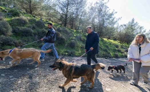 İzmir’de 'Tek Sağlık' vizyonu ile can dostlarımız güvende
