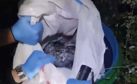 İzmir’de silah operasyonu: 149 ruhsatsız tabanca ele geçirildi!