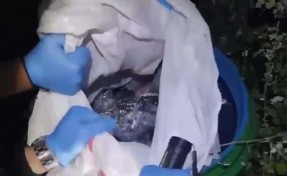 İzmir’de silah operasyonu: 149 ruhsatsız tabanca ele geçirildi!
