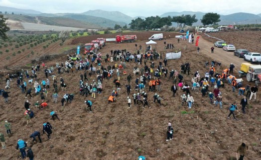Manisa'da 2 bin 500 fidan toprakla buluşturuldu