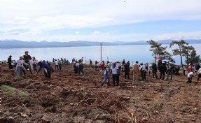 Muğla'da 350 fidan toprakla buluşturuldu
