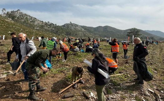 Muğla'da gönüllülerden doğaya 2 bin fidan