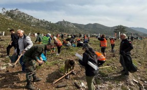 Muğla'da gönüllülerden doğaya 2 bin fidan