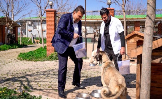 Seferihisar’da atık yemekler sokak hayvanlarına mama oluyor