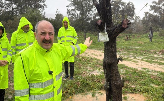 Varank’tan zeytin ve maden mesajı: ‘Ekolojik dengeyi koruyacağız'