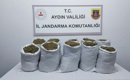 Aydın'da uyuşturucu operasyonu; 2 gözaltı