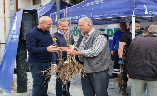 Beydağlı üreticiye çifte destek