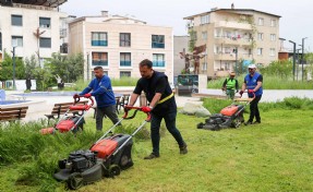 Buca’da bahar temizliği