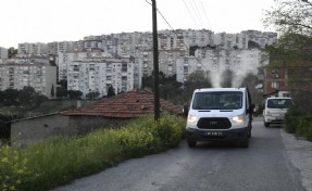 Çiğli’de sivrisinek ve haşerelere karşı etkin önlem