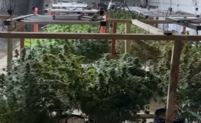 Depoyu Hint keneviri serasına çeviren 2 şüpheli tutuklandı